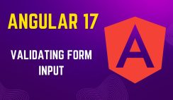 Validating Form Input in Angular 17: Step-by-Step Guide with Examples